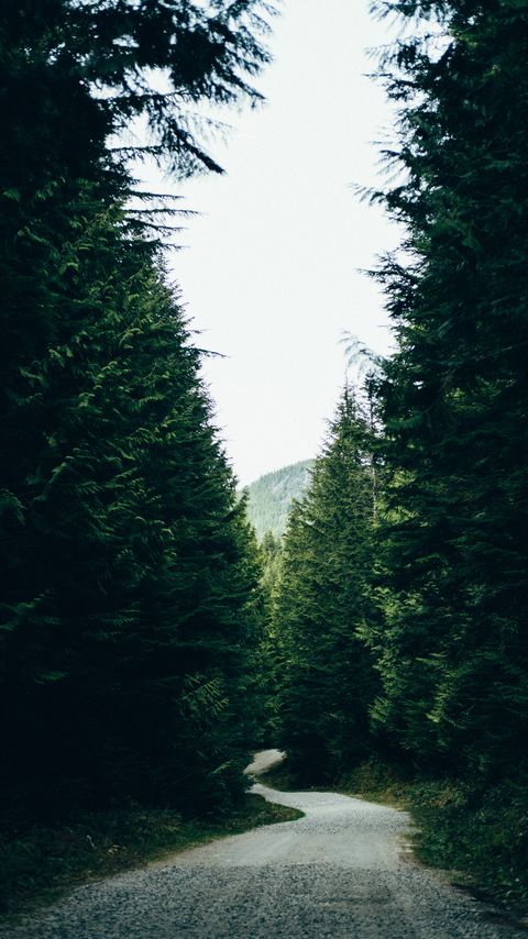 Download wallpaper 2160x3840 road, trees, mountains, forest, nature samsung galaxy s4, s5, note, sony xperia z, z1, z2, z3, htc one, lenovo vibe hd background