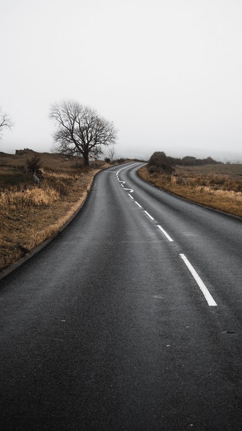 Download wallpaper 2160x3840 road, turn, field, trees samsung galaxy s4, s5, note, sony xperia z, z1, z2, z3, htc one, lenovo vibe hd background