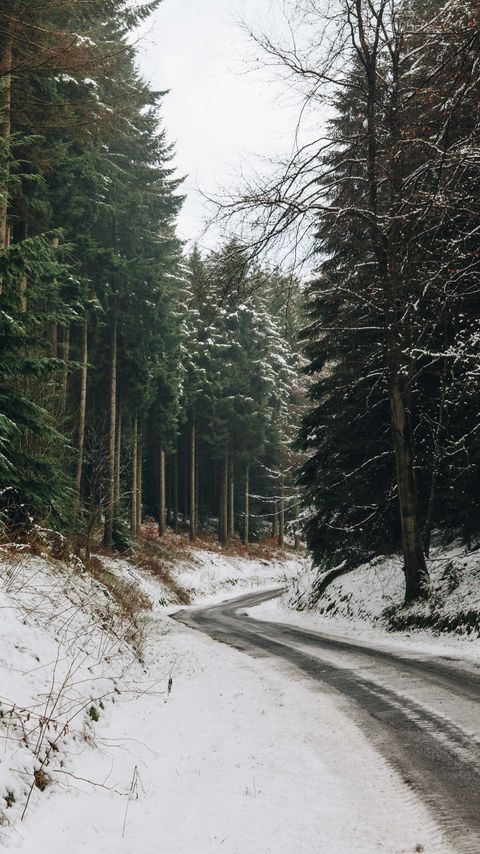 Download wallpaper 2160x3840 road, turn, forest, trees, snow, winter samsung galaxy s4, s5, note, sony xperia z, z1, z2, z3, htc one, lenovo vibe hd background