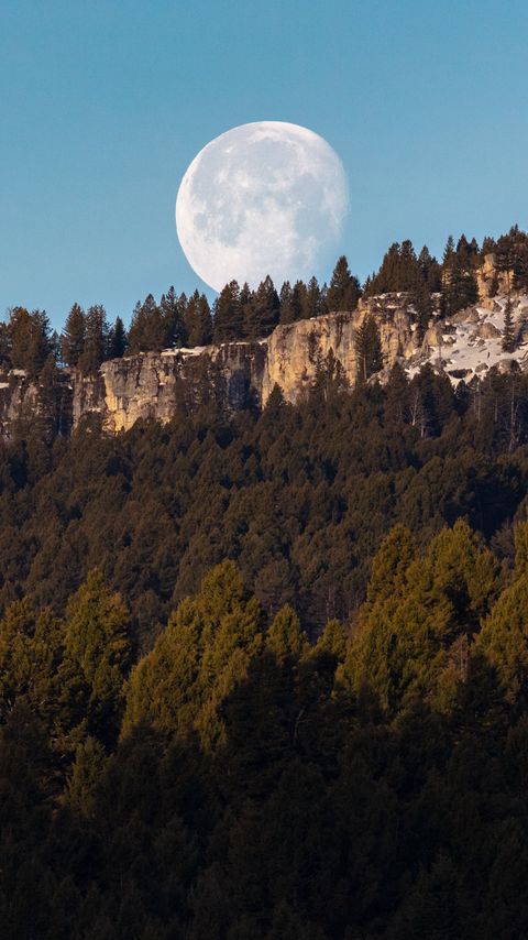 Download wallpaper 2160x3840 rock, forest, moon, full moon, landscape, nature samsung galaxy s4, s5, note, sony xperia z, z1, z2, z3, htc one, lenovo vibe hd background