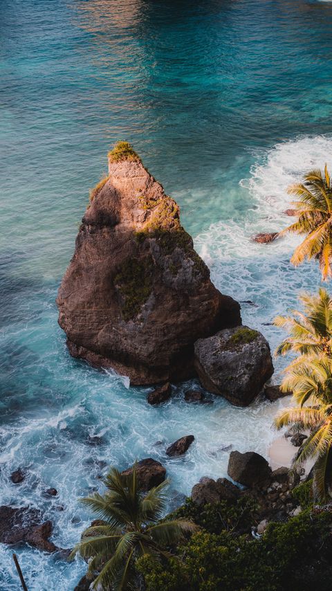 Download wallpaper 2160x3840 rock, sea, palm trees, tropics samsung galaxy s4, s5, note, sony xperia z, z1, z2, z3, htc one, lenovo vibe hd background