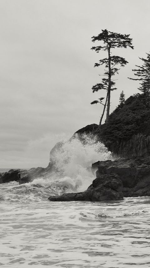 Download wallpaper 2160x3840 rock, trees, sea, spray, black and white samsung galaxy s4, s5, note, sony xperia z, z1, z2, z3, htc one, lenovo vibe hd background