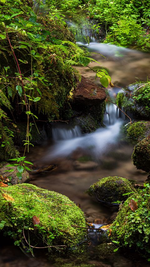 Download wallpaper 2160x3840 rocks, moss, waterfall, stream, nature samsung galaxy s4, s5, note, sony xperia z, z1, z2, z3, htc one, lenovo vibe hd background