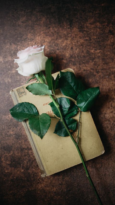 Download wallpaper 2160x3840 rose, flower, book, aesthetics samsung galaxy s4, s5, note, sony xperia z, z1, z2, z3, htc one, lenovo vibe hd background