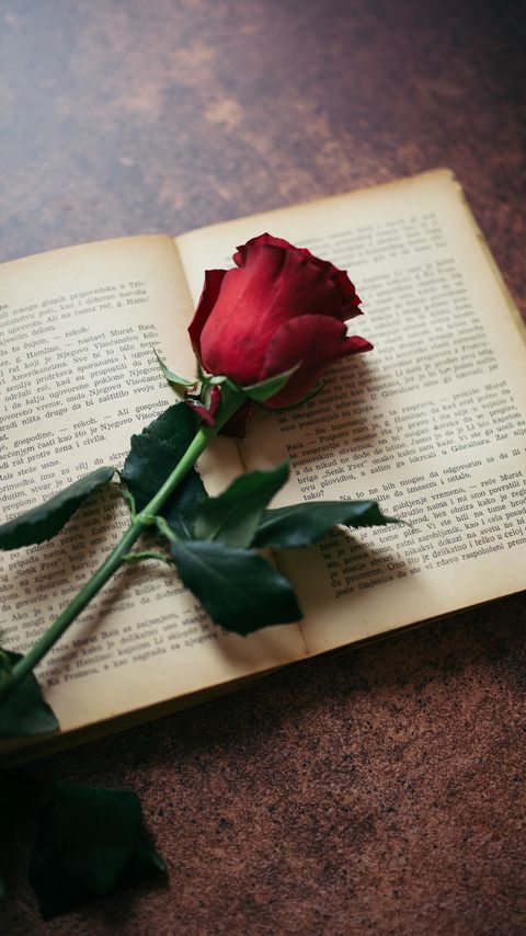 Download wallpaper 2160x3840 rose, flower, book, pages samsung galaxy s4, s5, note, sony xperia z, z1, z2, z3, htc one, lenovo vibe hd background