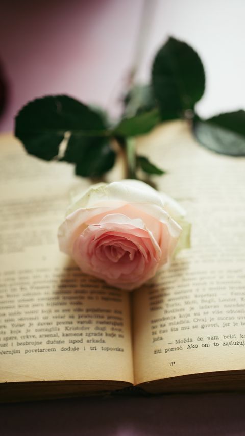 Download wallpaper 2160x3840 rose, flower, petals, book, pages, aesthetics samsung galaxy s4, s5, note, sony xperia z, z1, z2, z3, htc one, lenovo vibe hd background