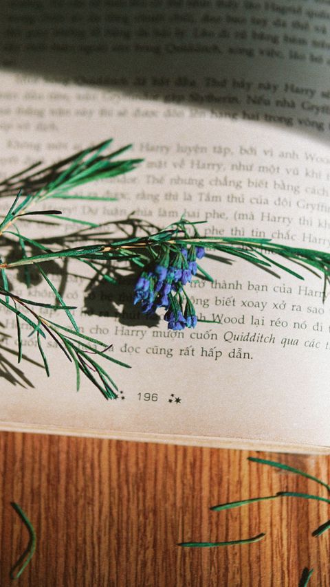 Download wallpaper 2160x3840 rosemary, flowers, branch, book, reading samsung galaxy s4, s5, note, sony xperia z, z1, z2, z3, htc one, lenovo vibe hd background