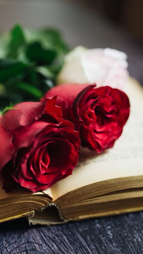 Download wallpaper 2160x3840 roses, flowers, book, pages, aesthetics samsung galaxy s4, s5, note, sony xperia z, z1, z2, z3, htc one, lenovo vibe hd background