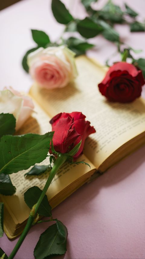 Download wallpaper 2160x3840 roses, flowers, petals, book, pages, aesthetics samsung galaxy s4, s5, note, sony xperia z, z1, z2, z3, htc one, lenovo vibe hd background