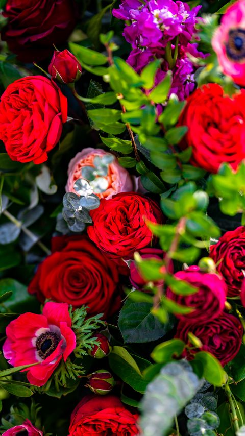 Download wallpaper 2160x3840 roses, flowers, petals, bush, leaves, macro samsung galaxy s4, s5, note, sony xperia z, z1, z2, z3, htc one, lenovo vibe hd background