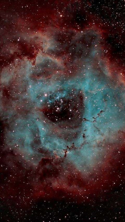 Download wallpaper 2160x3840 rosette nebula, nebula, shine, stars, space samsung galaxy s4, s5, note, sony xperia z, z1, z2, z3, htc one, lenovo vibe hd background