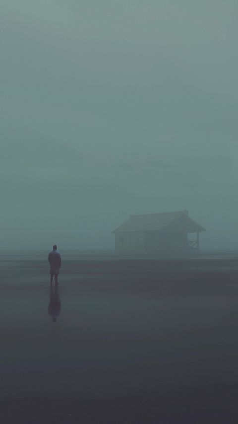 Download wallpaper 2160x3840 silhouette, alone, house, fog samsung galaxy s4, s5, note, sony xperia z, z1, z2, z3, htc one, lenovo vibe hd background