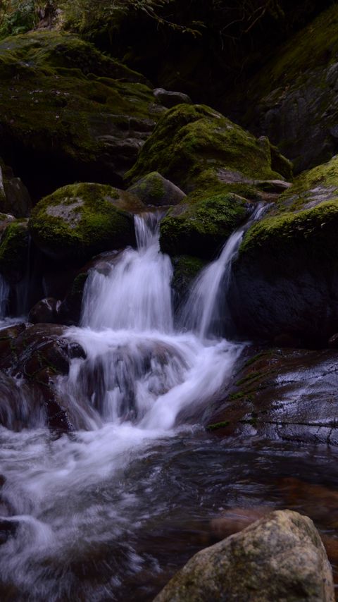 Download wallpaper 2160x3840 stream, stones, waterfall, moss, nature samsung galaxy s4, s5, note, sony xperia z, z1, z2, z3, htc one, lenovo vibe hd background