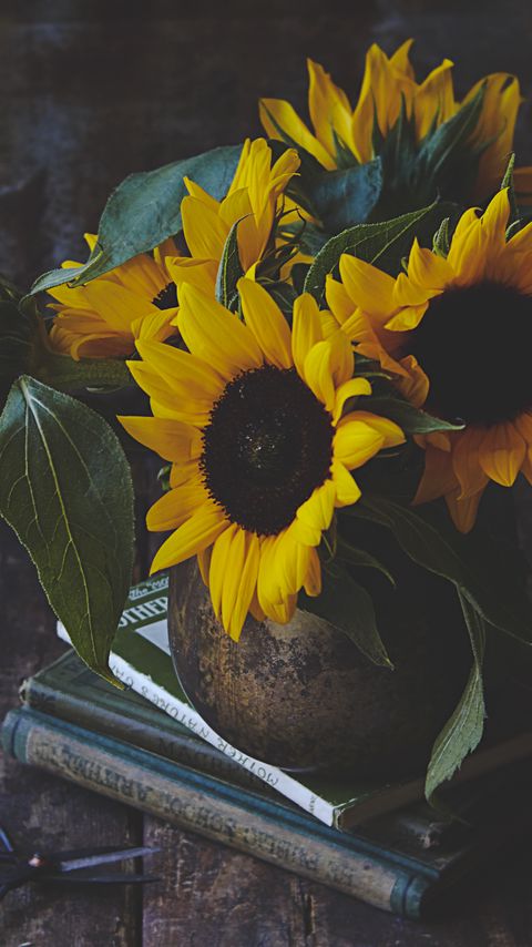 Download wallpaper 2160x3840 sunflowers, flowers, bouquet, yellow, aesthetics samsung galaxy s4, s5, note, sony xperia z, z1, z2, z3, htc one, lenovo vibe hd background