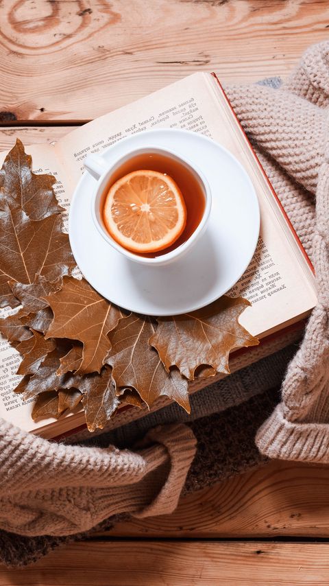 Download wallpaper 2160x3840 tea, lemon, cup, book, autumn, cozy samsung galaxy s4, s5, note, sony xperia z, z1, z2, z3, htc one, lenovo vibe hd background