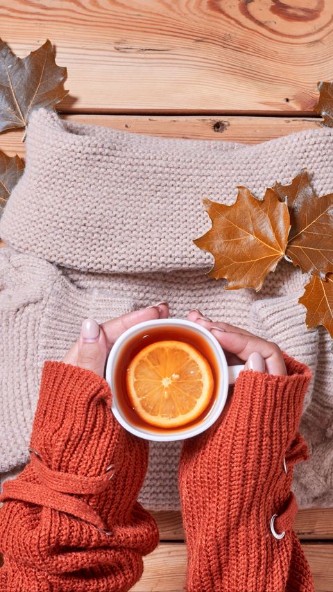 Download wallpaper 2160x3840 tea, lemon, mug, hands, sweater, autumn, cozy samsung galaxy s4, s5, note, sony xperia z, z1, z2, z3, htc one, lenovo vibe hd background