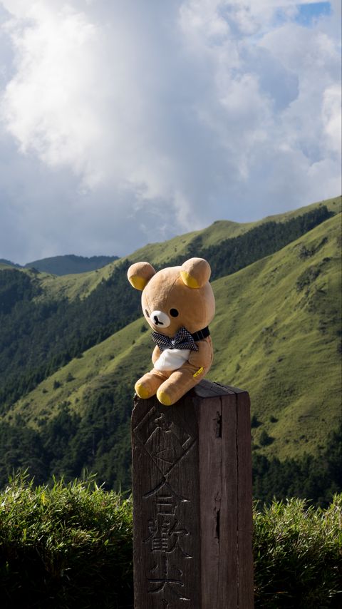 Download wallpaper 2160x3840 teddy bear, bear, toy, hieroglyphs, mountains samsung galaxy s4, s5, note, sony xperia z, z1, z2, z3, htc one, lenovo vibe hd background