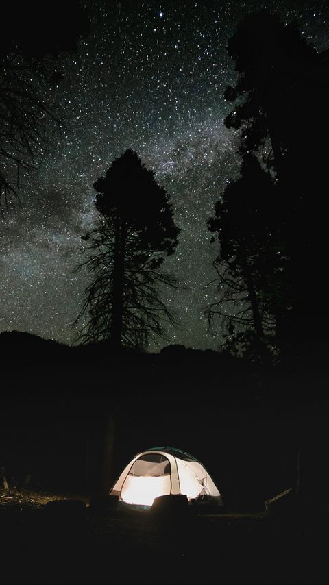 Download wallpaper 2160x3840 tent, trees, silhouettes, night, dark samsung galaxy s4, s5, note, sony xperia z, z1, z2, z3, htc one, lenovo vibe hd background