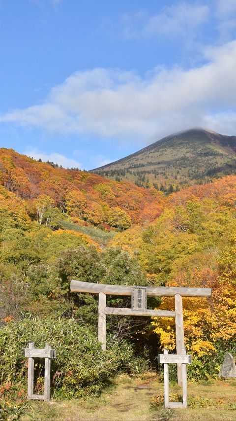 Download wallpaper 2160x3840 torii, forest, mountains, landscape, japan samsung galaxy s4, s5, note, sony xperia z, z1, z2, z3, htc one, lenovo vibe hd background