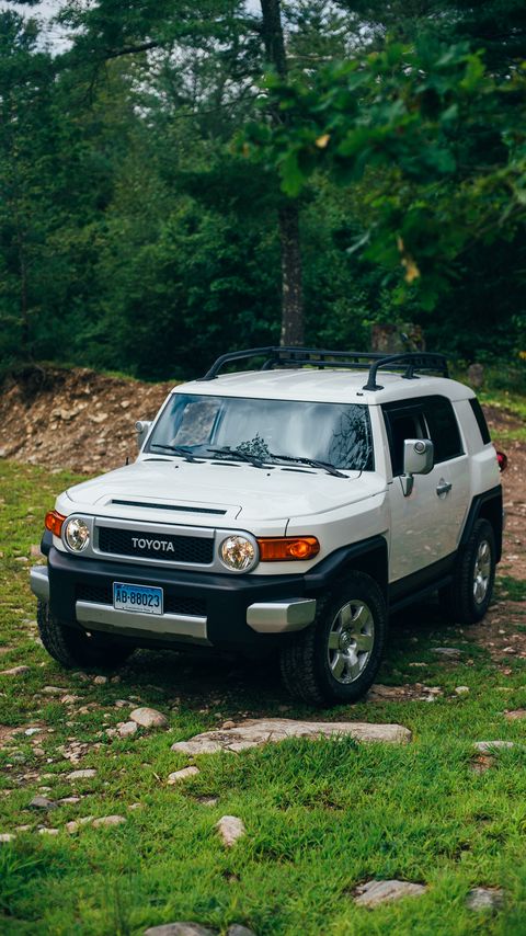 Download wallpaper 2160x3840 toyota fj cruiser, toyota, car, suv, gray, forest, grass samsung galaxy s4, s5, note, sony xperia z, z1, z2, z3, htc one, lenovo vibe hd background