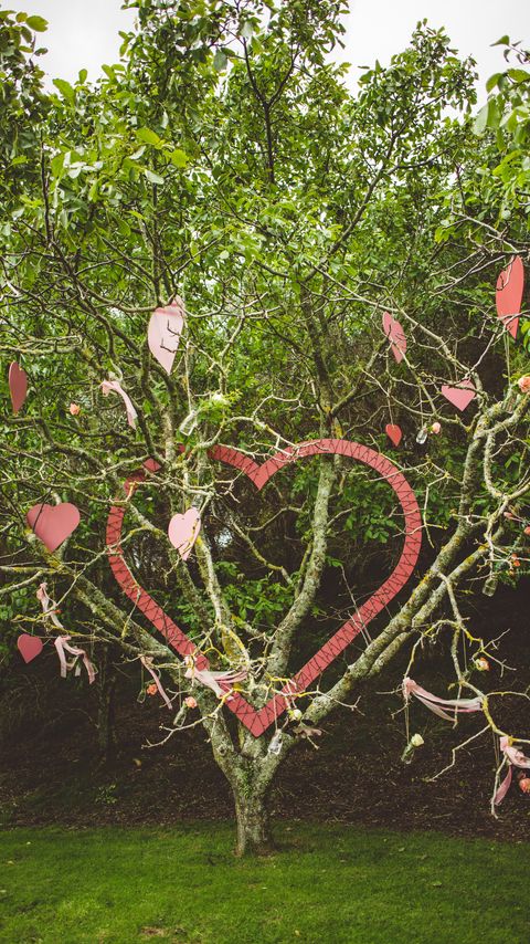 Download wallpaper 2160x3840 tree, branches, hearts, love samsung galaxy s4, s5, note, sony xperia z, z1, z2, z3, htc one, lenovo vibe hd background