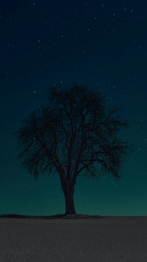 Download wallpaper 2160x3840 tree, silhouette, stars, night, sky, dark samsung galaxy s4, s5, note, sony xperia z, z1, z2, z3, htc one, lenovo vibe hd background