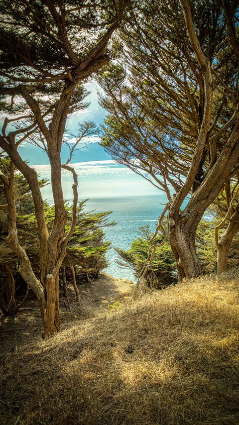 Download wallpaper 2160x3840 trees, cliff, sea, nature, landscape samsung galaxy s4, s5, note, sony xperia z, z1, z2, z3, htc one, lenovo vibe hd background