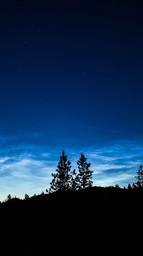 Download wallpaper 2160x3840 trees, silhouettes, night, dusk, dark samsung galaxy s4, s5, note, sony xperia z, z1, z2, z3, htc one, lenovo vibe hd background