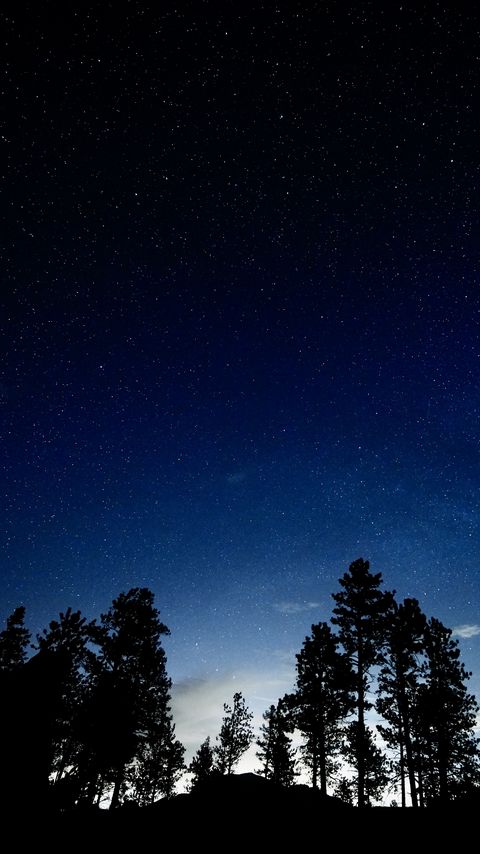 Download wallpaper 2160x3840 trees, silhouettes, sky, night, dark samsung galaxy s4, s5, note, sony xperia z, z1, z2, z3, htc one, lenovo vibe hd background