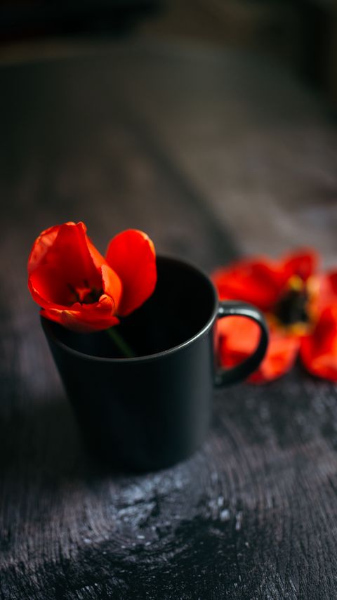 Download wallpaper 2160x3840 tulip, flower, cup, red samsung galaxy s4, s5, note, sony xperia z, z1, z2, z3, htc one, lenovo vibe hd background