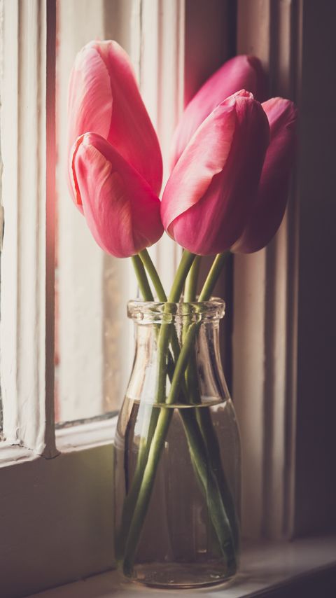 Download wallpaper 2160x3840 tulips, flowers, jar, window samsung galaxy s4, s5, note, sony xperia z, z1, z2, z3, htc one, lenovo vibe hd background