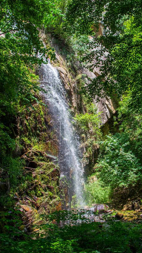 Download wallpaper 2160x3840 waterfall, water, rock, trees, landscape, nature samsung galaxy s4, s5, note, sony xperia z, z1, z2, z3, htc one, lenovo vibe hd background