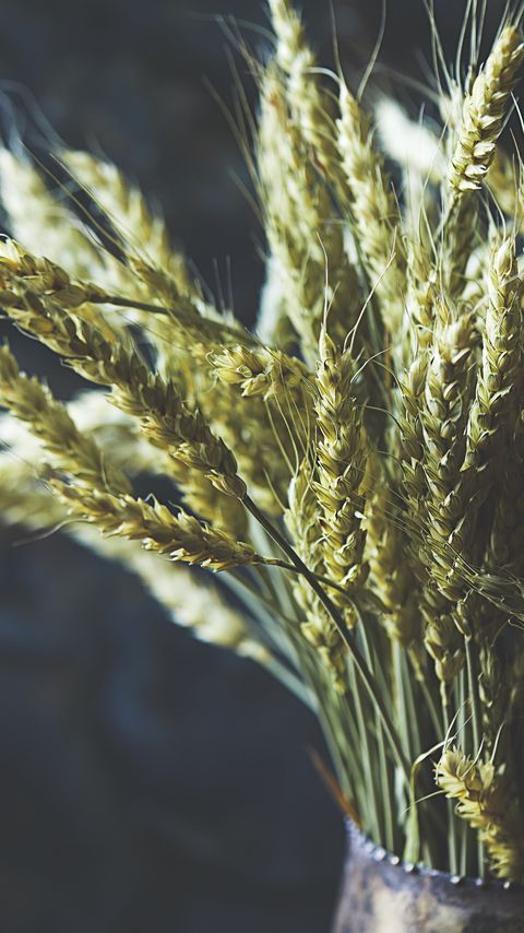 Download wallpaper 2160x3840 wheat, ears, bouquet, vase samsung galaxy s4, s5, note, sony xperia z, z1, z2, z3, htc one, lenovo vibe hd background