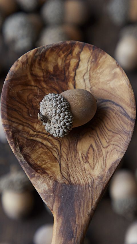 Download wallpaper 2160x3840 acorn, nut, spoon, brown, macro samsung galaxy s4, s5, note, sony xperia z, z1, z2, z3, htc one, lenovo vibe hd background