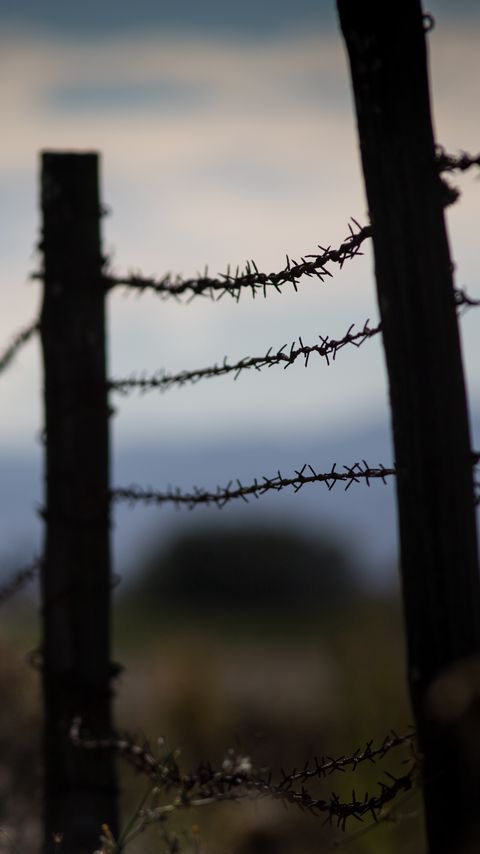 Download wallpaper 2160x3840 barbed wire, thorns, fence samsung galaxy s4, s5, note, sony xperia z, z1, z2, z3, htc one, lenovo vibe hd background