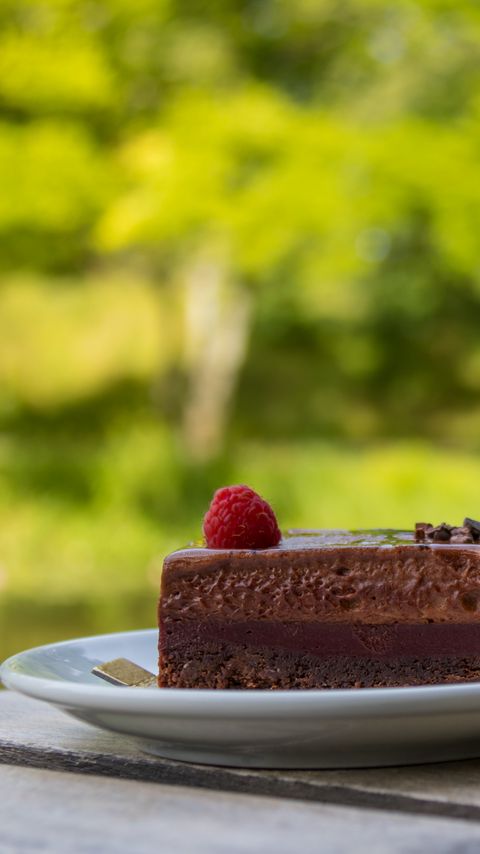 Download wallpaper 2160x3840 cake, raspberry, berry, chocolate, dessert samsung galaxy s4, s5, note, sony xperia z, z1, z2, z3, htc one, lenovo vibe hd background