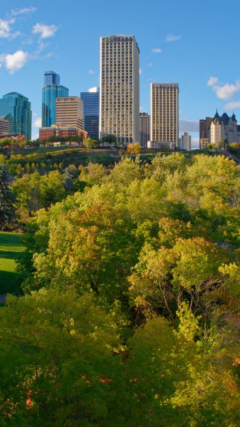 Download wallpaper 2160x3840 city, buildings, trees, autumn, aerial view samsung galaxy s4, s5, note, sony xperia z, z1, z2, z3, htc one, lenovo vibe hd background