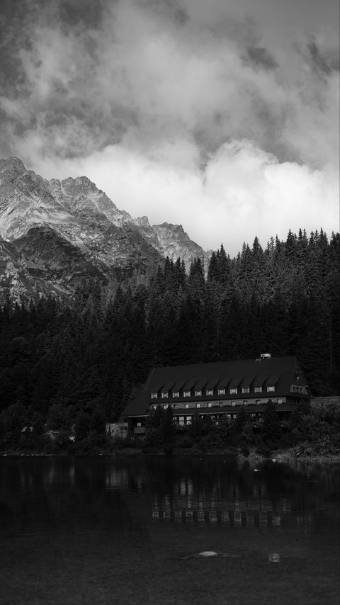 Download wallpaper 2160x3840 coast, house, mountains, trees, landscape, black-and-white samsung galaxy s4, s5, note, sony xperia z, z1, z2, z3, htc one, lenovo vibe hd background