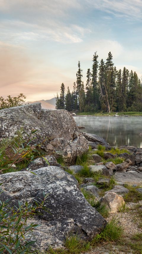 Download wallpaper 2160x3840 coast, trees, lake, landscape, nature samsung galaxy s4, s5, note, sony xperia z, z1, z2, z3, htc one, lenovo vibe hd background