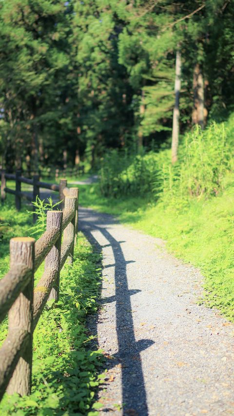 Download wallpaper 2160x3840 fence, path, trees, landscape, nature, green samsung galaxy s4, s5, note, sony xperia z, z1, z2, z3, htc one, lenovo vibe hd background