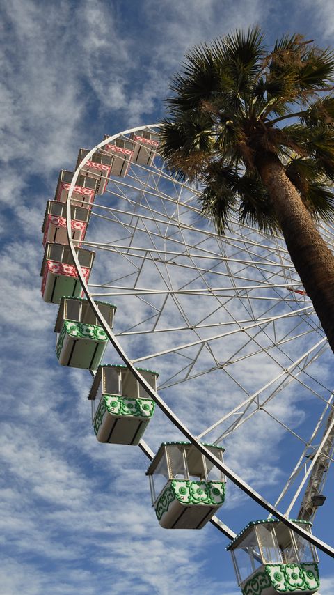 Download wallpaper 2160x3840 ferris wheel, attraction, palm trees, bottom view samsung galaxy s4, s5, note, sony xperia z, z1, z2, z3, htc one, lenovo vibe hd background