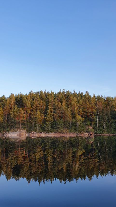 Download wallpaper 2160x3840 forest, trees, reflection, lake, nature samsung galaxy s4, s5, note, sony xperia z, z1, z2, z3, htc one, lenovo vibe hd background