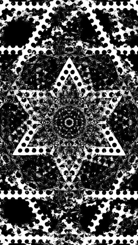 Download wallpaper 2160x3840 fractal, lines, flower, kaleidoscope, abstraction, black and white samsung galaxy s4, s5, note, sony xperia z, z1, z2, z3, htc one, lenovo vibe hd background