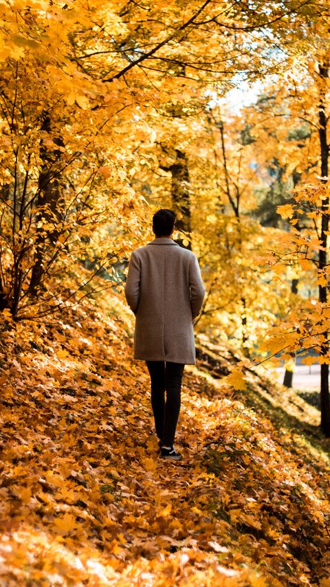 Download wallpaper 2160x3840 guy, coat, alone, park, trees, leaves, autumn samsung galaxy s4, s5, note, sony xperia z, z1, z2, z3, htc one, lenovo vibe hd background