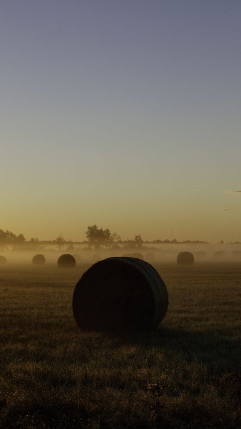 Download wallpaper 2160x3840 hay, field, fog, sunset, nature samsung galaxy s4, s5, note, sony xperia z, z1, z2, z3, htc one, lenovo vibe hd background