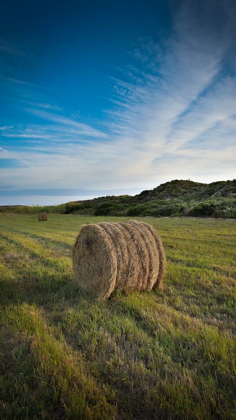 Download wallpaper 2160x3840 hay, field, nature, landscape samsung galaxy s4, s5, note, sony xperia z, z1, z2, z3, htc one, lenovo vibe hd background