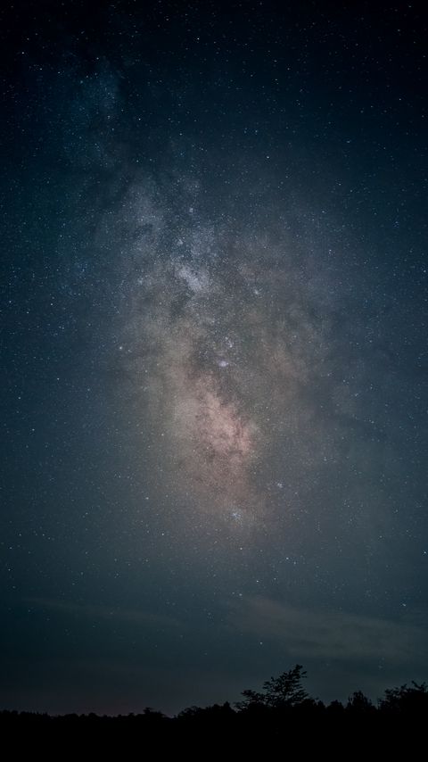 Download wallpaper 2160x3840 milky way, stars, sky, night, trees, dark samsung galaxy s4, s5, note, sony xperia z, z1, z2, z3, htc one, lenovo vibe hd background