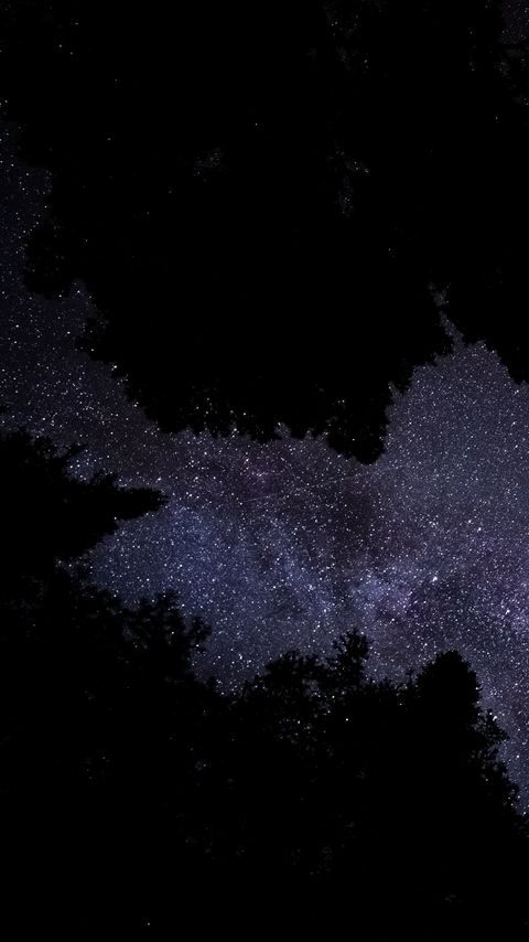 Download wallpaper 2160x3840 milky way, stars, starry sky, trees, night, dark samsung galaxy s4, s5, note, sony xperia z, z1, z2, z3, htc one, lenovo vibe hd background