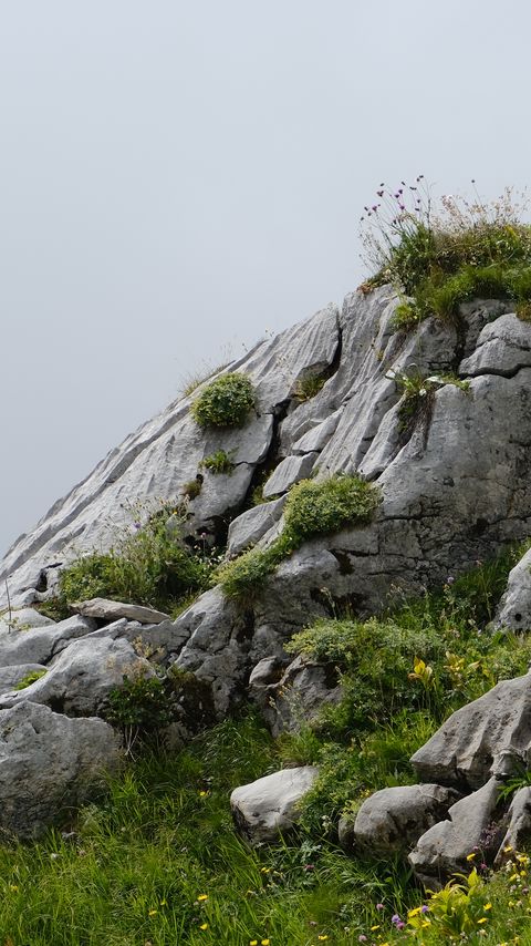 Download wallpaper 2160x3840 mountain, stones, grass, nature samsung galaxy s4, s5, note, sony xperia z, z1, z2, z3, htc one, lenovo vibe hd background