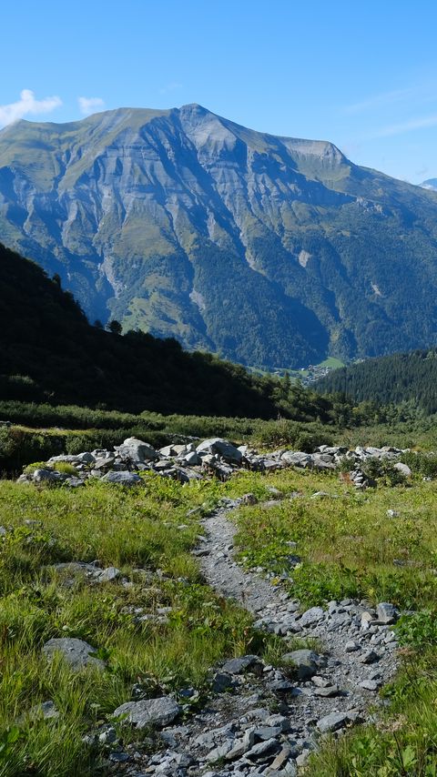 Download wallpaper 2160x3840 mountains, path, grass, nature, landscape samsung galaxy s4, s5, note, sony xperia z, z1, z2, z3, htc one, lenovo vibe hd background